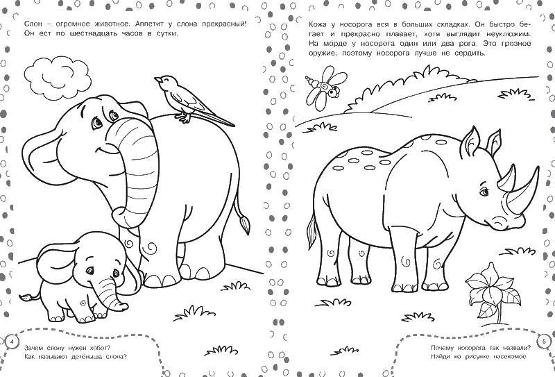 Название: Раскраска Носорог и слон. Категория: зоопарк. Теги: Слон, носорог.