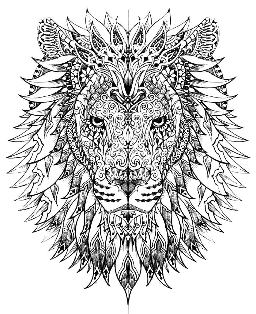Название: Раскраска Этнический лев в узрах. Категория: узоры. Теги: Узоры, животные.