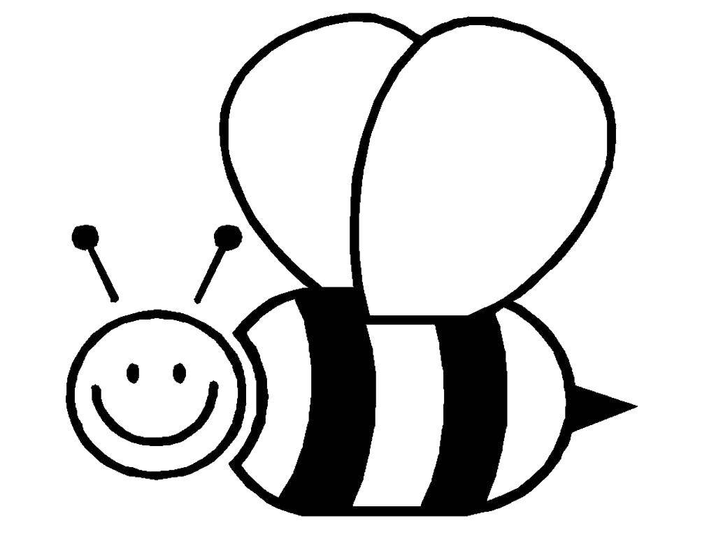 Название: Раскраска Счастливая пчёлка. Категория: Раскраски для малышей. Теги: Насекомые, пчёлка.
