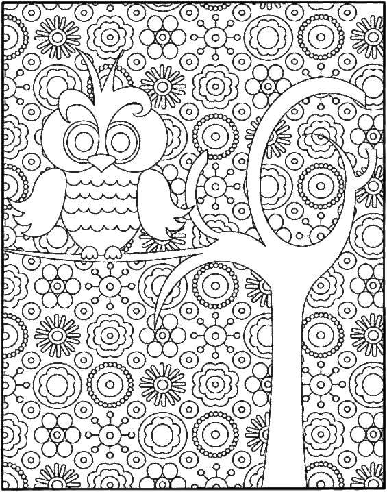 Coloring Owl in a patterned world. Category patterns. Tags:  Birds, owl.