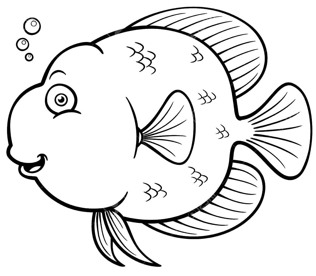 Розмальовки  Пухкенька рибка. Завантажити розмальовку Підводний світ, риба.  Роздрукувати ,Риби,