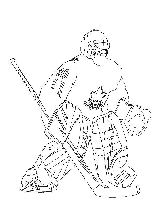 Coloring Canadian hockey player. Category for boys . Tags:  Sports, hockey.