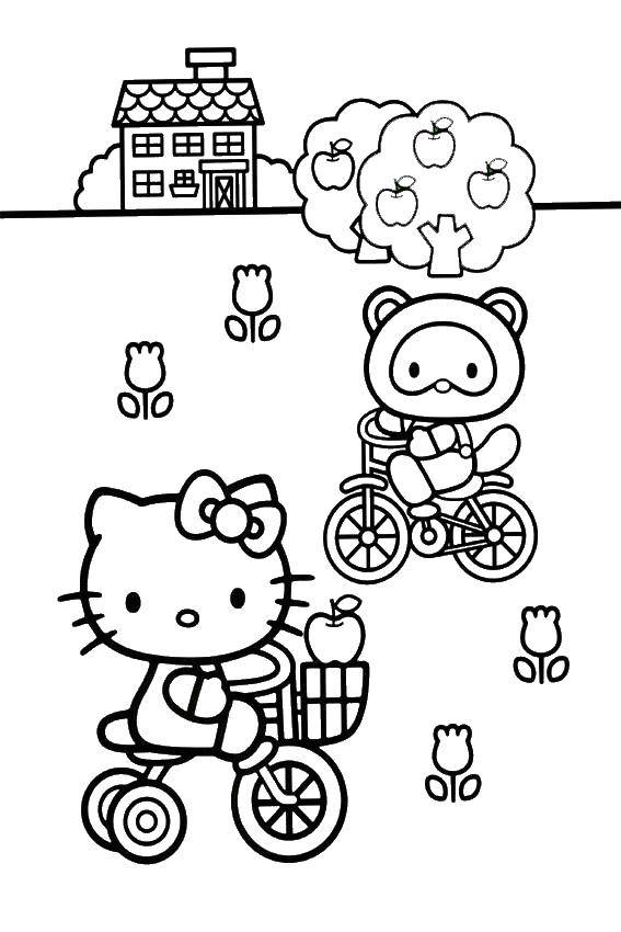 Coloring Hello kitty and her friend on the bike. Category Hello Kitty. Tags:  Hello kitty, bikes.