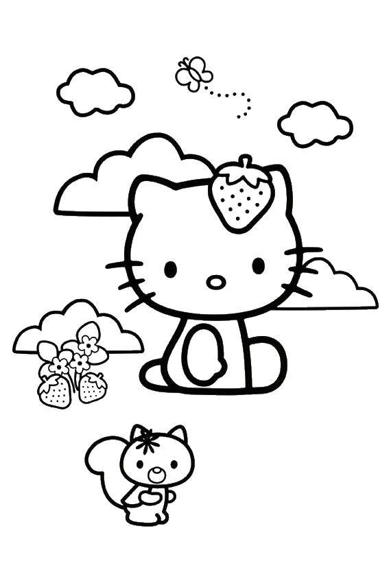 Coloring Hello kitty and strawberries. Category Hello Kitty. Tags:  Hello kitty, strawberry, squirrel.