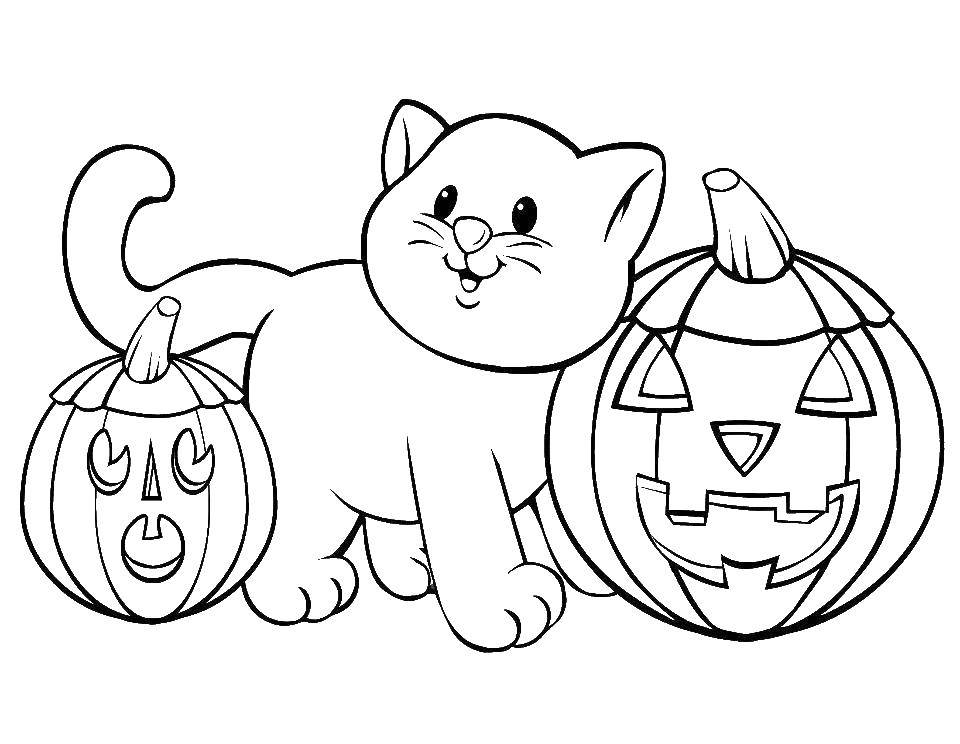 Название: Раскраска Котенок с тыквами. Категория: Хэллоуин. Теги: тыква, хэллоуин, котенок.
