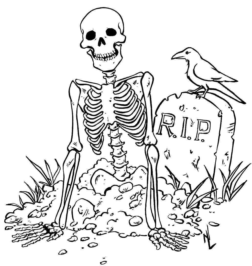 Название: Раскраска Скелет у могилы. Категория: Хэллоуин. Теги: хэллоуин, скелет, могила.