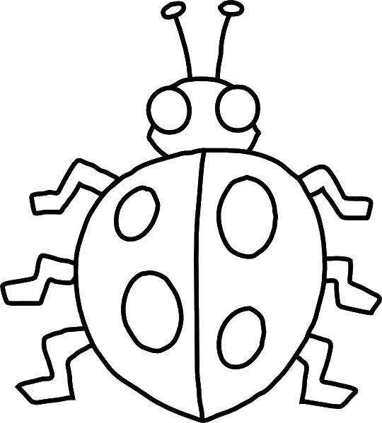 Coloring Ladybug with 6 legs. Category Insects. Tags:  Insects, ladybug.