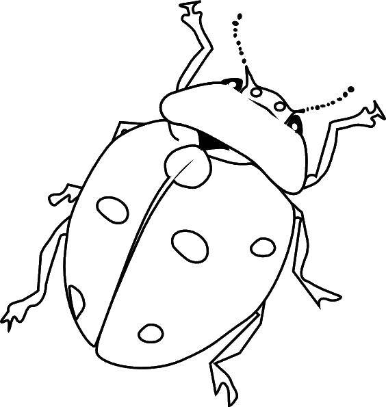 Coloring Ladybug. Category Insects. Tags:  insects, beetle, ladybug.