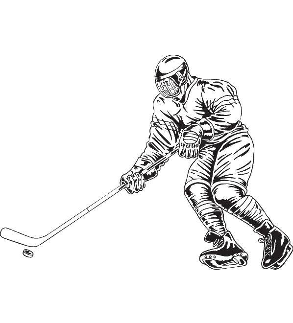 Coloring Hockey is puck. Category for boys . Tags:  Sports, hockey.