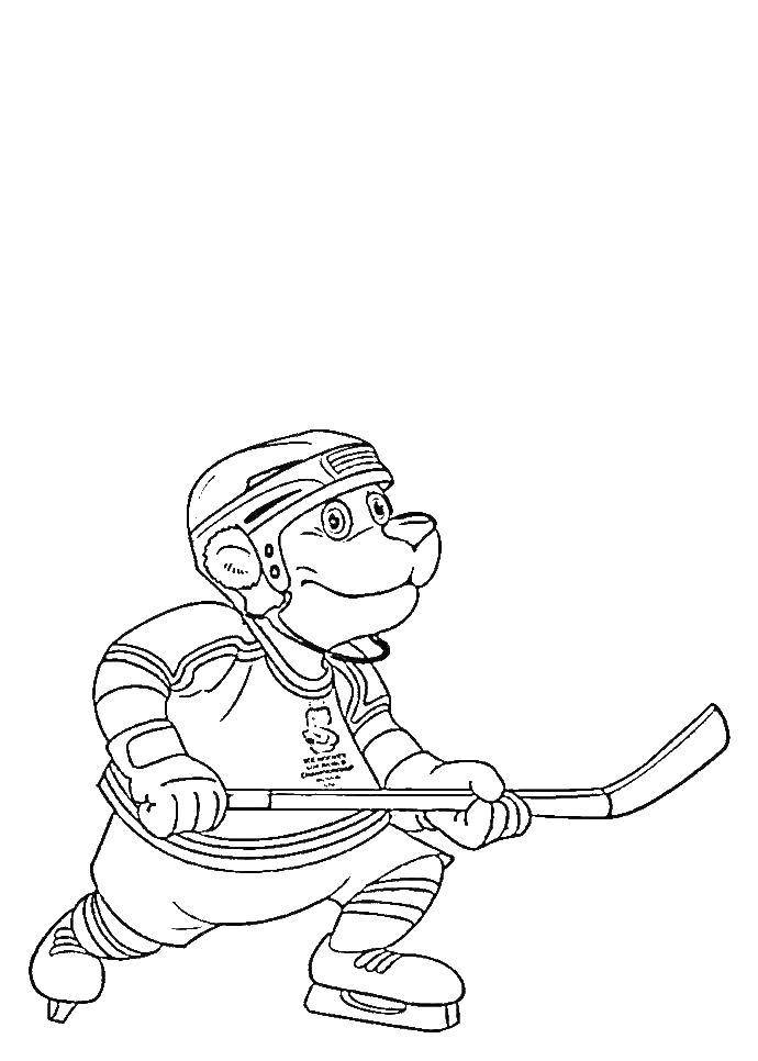 Название: Раскраска Медвежонок держит клюшку для игры в хоккей. Категория: спорт. Теги: Спорт, животные, хоккей, лёд.