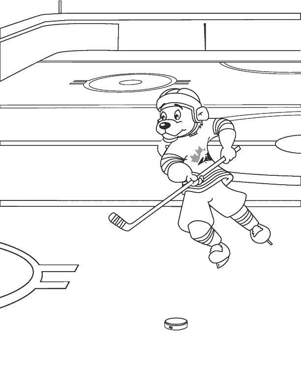 Coloring Bear plays hockey. Category sports. Tags:  Sports, animals, hockey, ice.