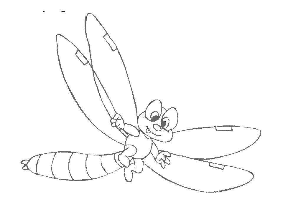 Название: Раскраска Миленькая стрекоза. Категория: Насекомые. Теги: насекомые, стрекоза.