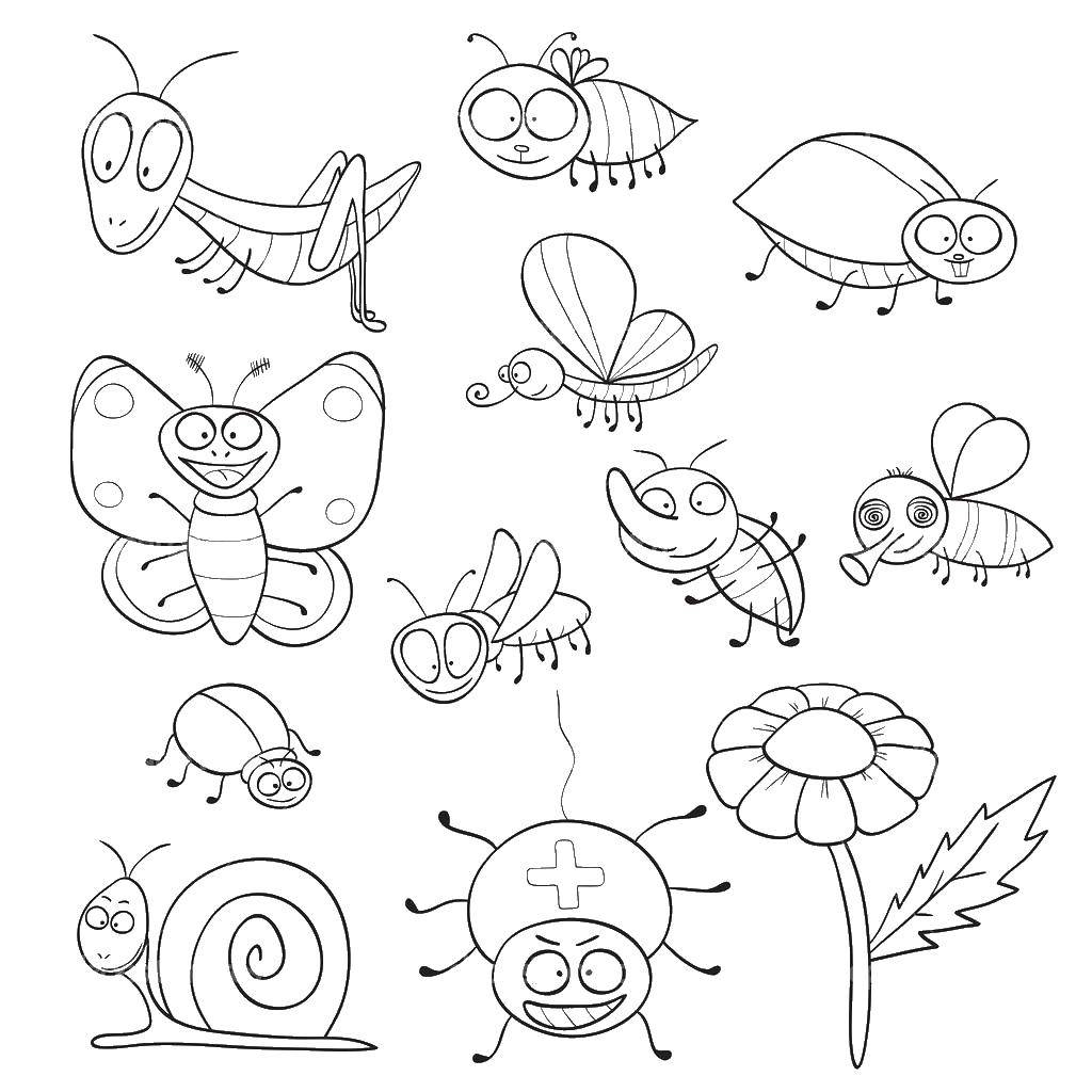 Coloring Various cute insects. Category Insects. Tags:  insects.