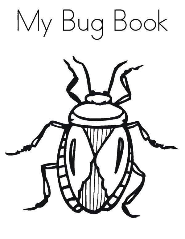 Coloring Beetle. Category Insects. Tags:  beetles, beetle.