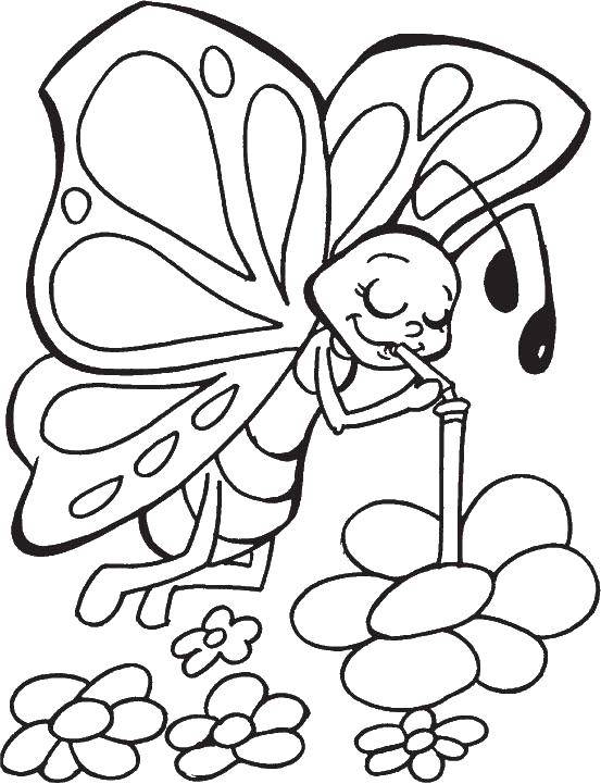 Название: Раскраска Бабочка пьет нектар. Категория: Бабочка. Теги: Бабочка, цветы.