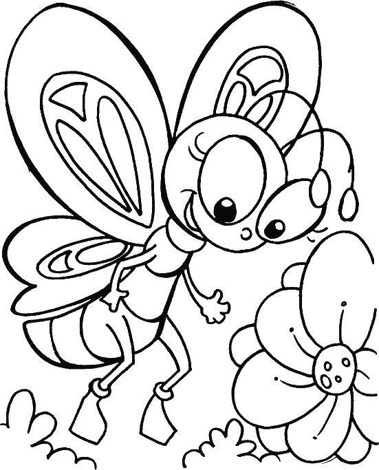 Название: Раскраска Бабочка возле цветка. Категория: Бабочка. Теги: Бабочка, цветы.