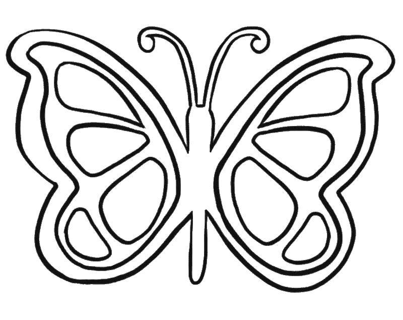 Розмальовки  Намалюй візерунки на крильцях. Завантажити розмальовку Метелик.  Роздрукувати ,Метелик,