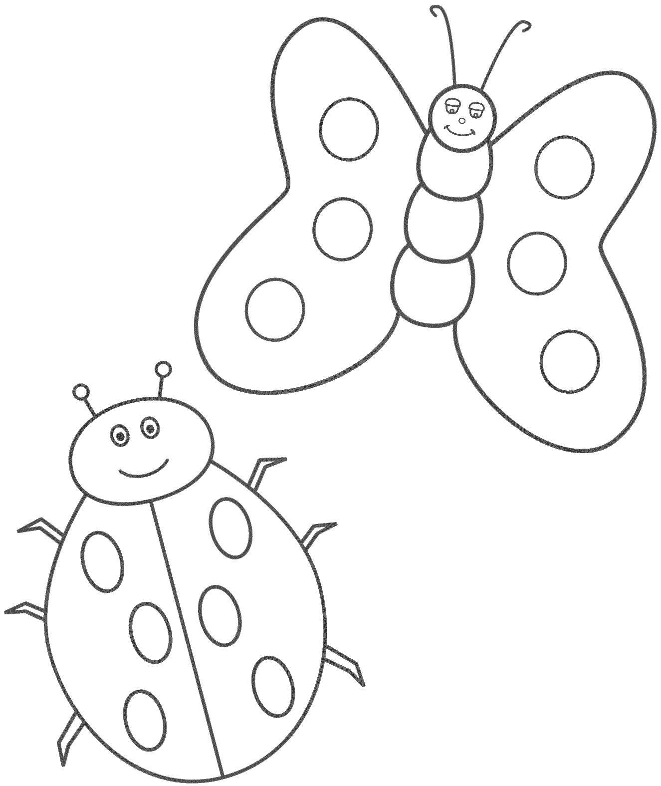 Название: Раскраска Бабочка и божья коровка. Категория: Насекомые. Теги: насекомые, божья коровка, бабочка.