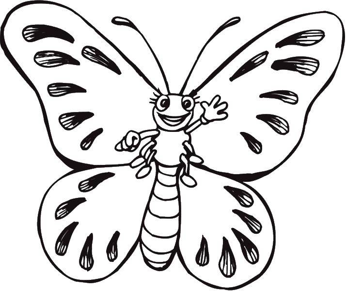 Название: Раскраска Бабочка машет лапкой. Категория: Бабочка. Теги: насекомые, бабочка.