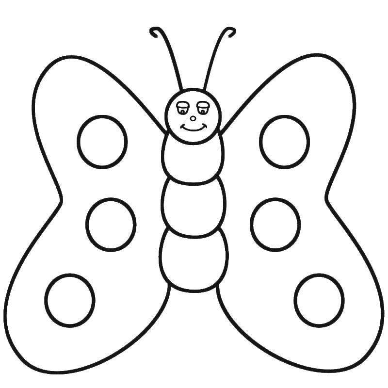 Coloring Butterfly with open wings. Category Butterfly. Tags:  butterfly, insects.