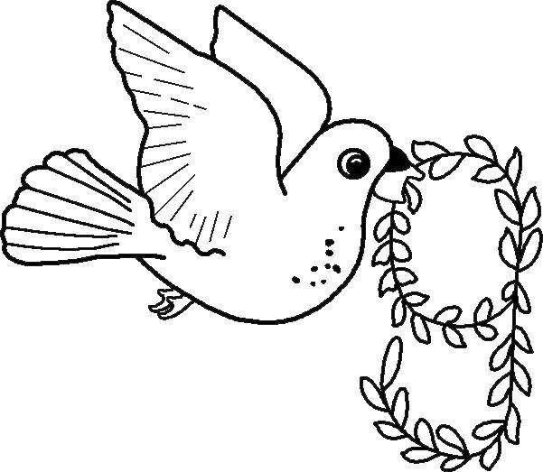 Название: Раскраска Голубок и цифра 9. Категория: Птицы. Теги: птицы, голубь, 9.