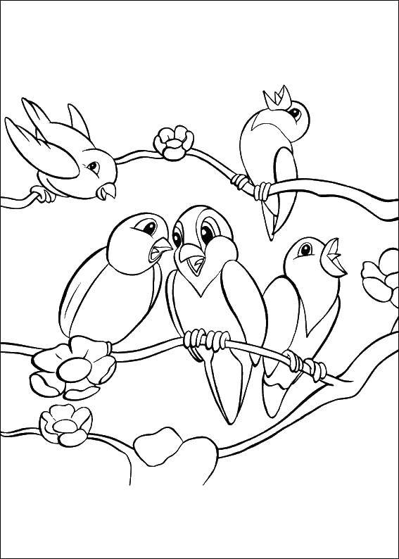 Название: Раскраска Маленькие птички поет. Категория: Птицы. Теги: птицы, пение, птички.