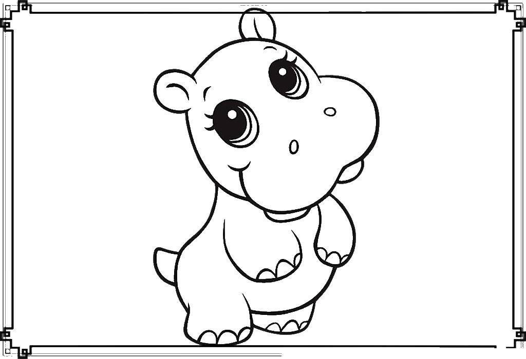 Coloring A small Hippo. Category animals cubs . Tags:  Hippo.