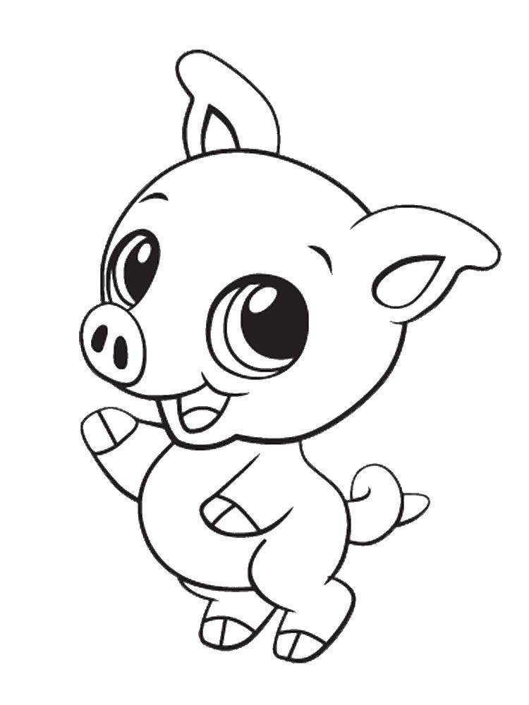 Coloring Pig. Category animals cubs . Tags:  animals, pig.