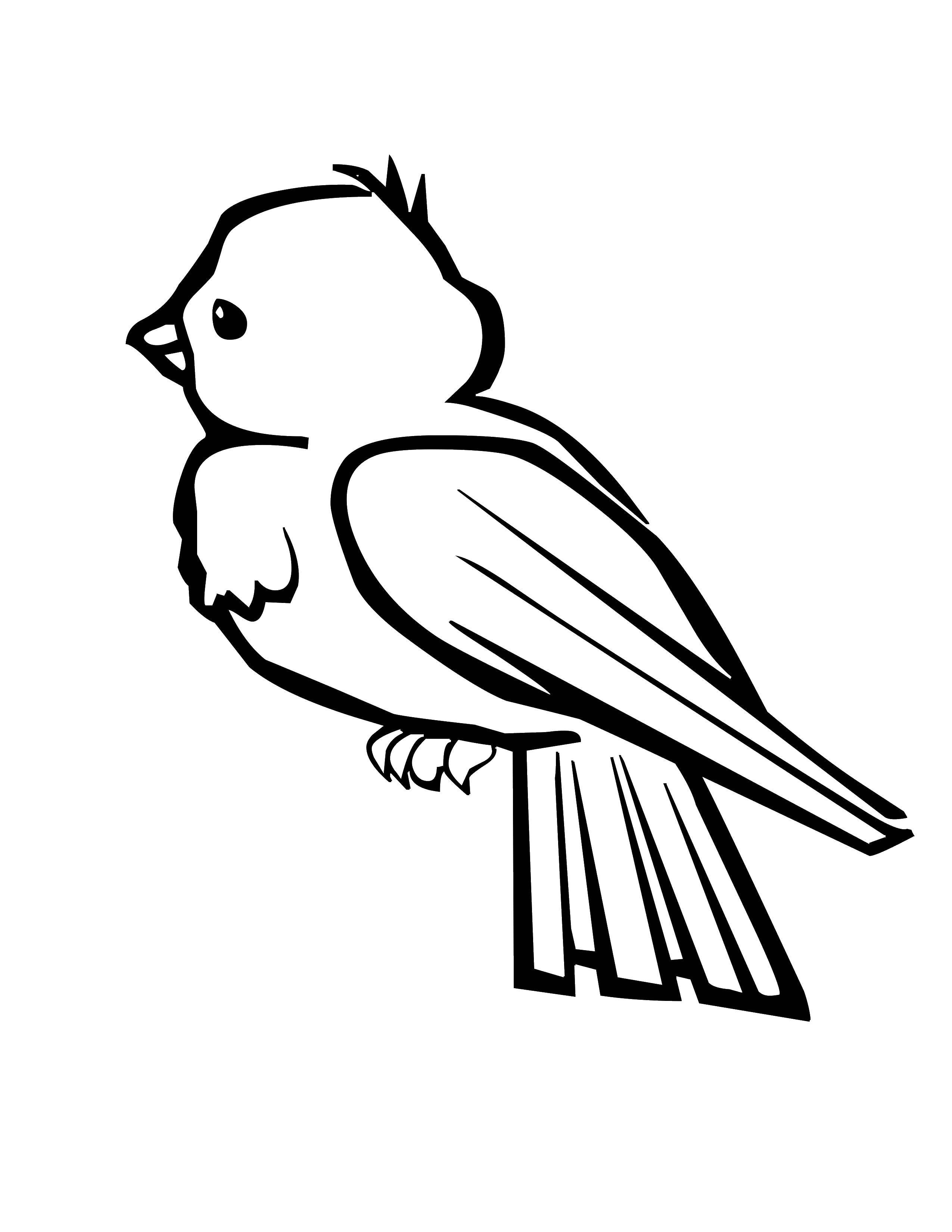 Coloring Bird. Category Birds. Tags:  birds, feathers.