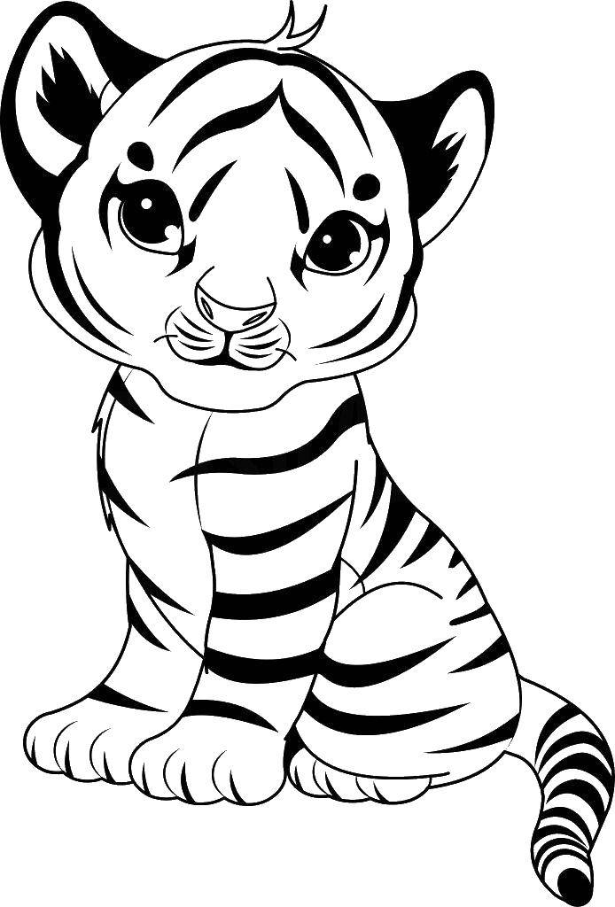 Coloring Tiger cub. Category animals cubs . Tags:  the tiger.