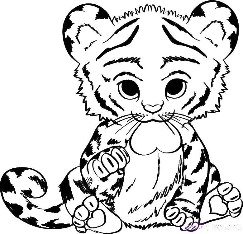 Название: Раскраска Тигренок с сердечком. Категория: детеныши животных. Теги: тигр, животные.