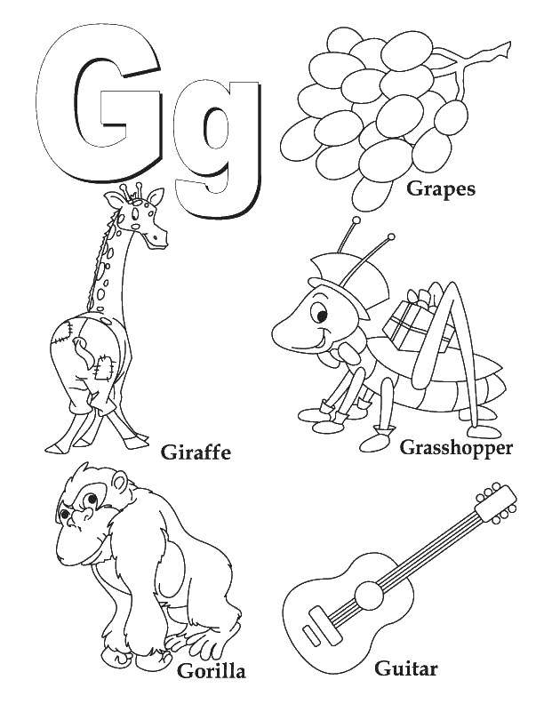Coloring English alphabet letter g. Category English alphabet. Tags:  The English alphabet, G.
