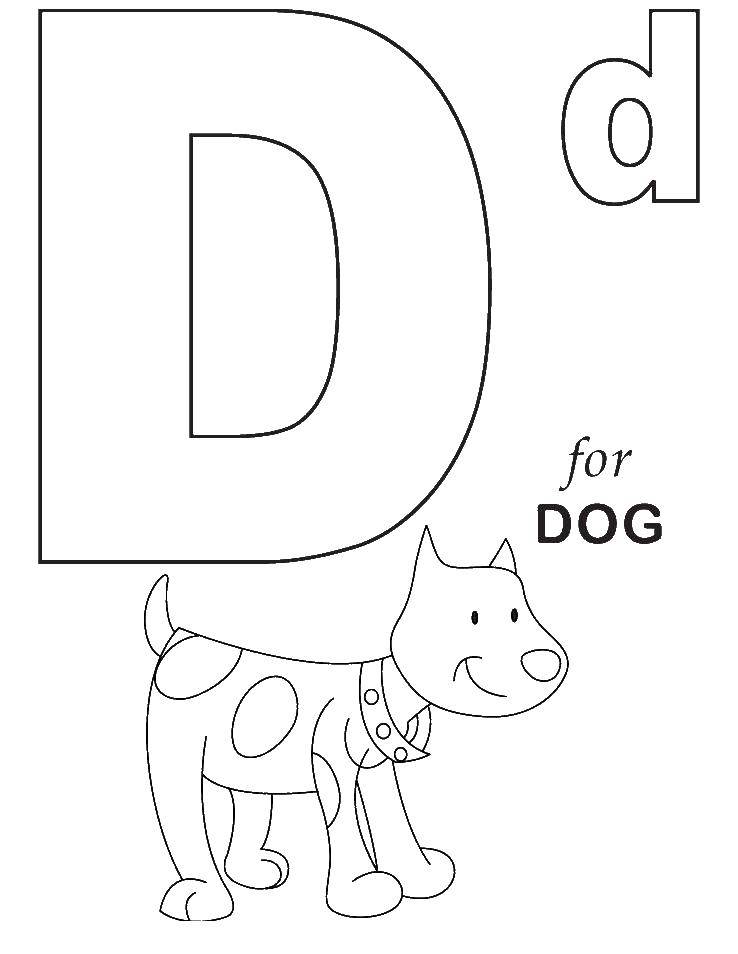 Название: Раскраска Английский алфавит собака. Категория: Английский алфавит. Теги: Английский алфавит, собака.