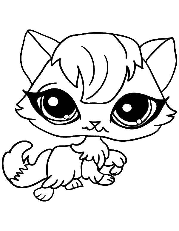 Coloring Kitty from the pet store. Category my little pet shop. Tags:  pet shop, cat.