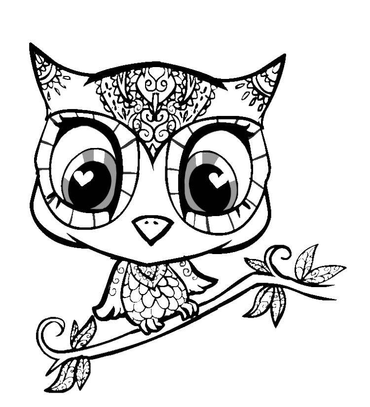 Coloring Little owl. Category animals cubs . Tags:  owl patterns.