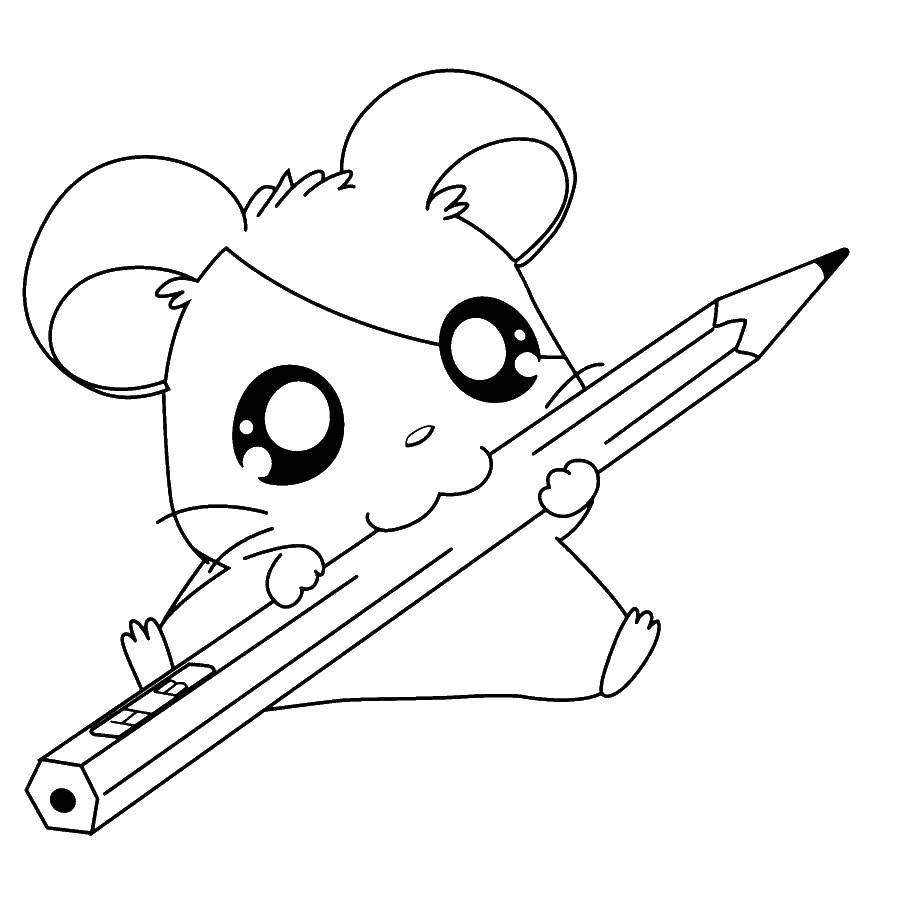 Название: Раскраска Мышка грызет карандаш. Категория: детеныши животных. Теги: животные, мышка, карандаш.