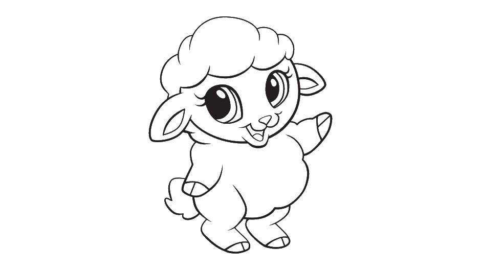 Название: Раскраска Очаровательная овечка. Категория: детеныши животных. Теги: Очаровательная, овечка.