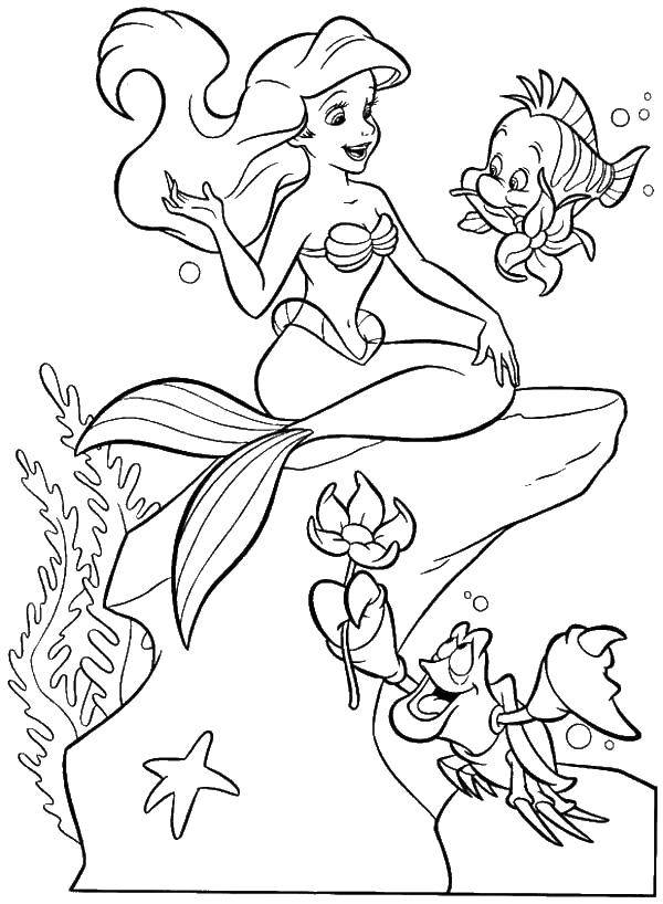 Название: Раскраска Русалка ариэль и флаундер собирают водные цветы. Категория: русалочка ариэль. Теги: Ариэль, русалка.