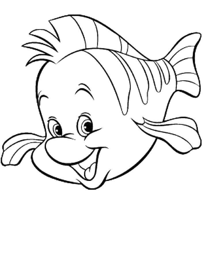 Coloring Fish Ariel flounder. Category The little mermaid. Tags:  flounder, mermaid.