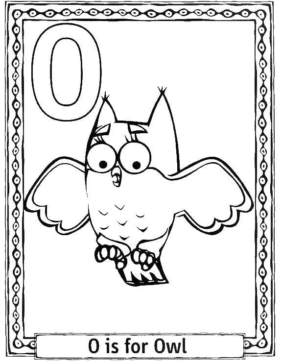 Название: Раскраска O owl. Категория: Английский алфавит. Теги: O, owl, английский алфавит.