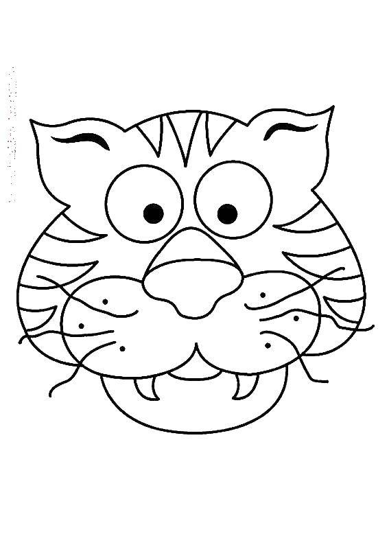 Coloring Tiger head. Category Animals. Tags:  tiger, animals.