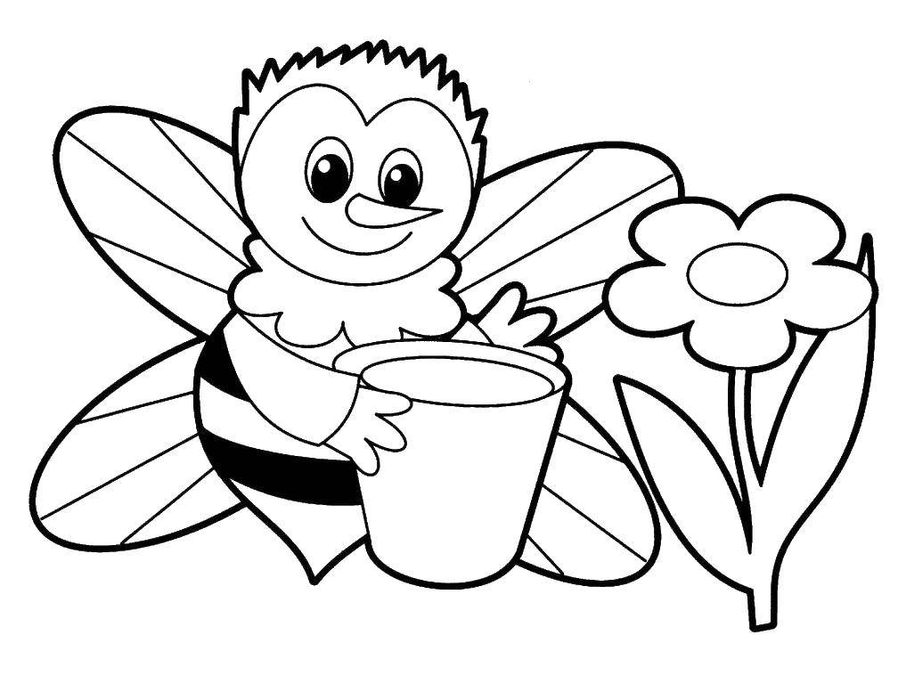 Название: Раскраска Пчела с ведром. Категория: Насекомые. Теги: насекомые, пчела.