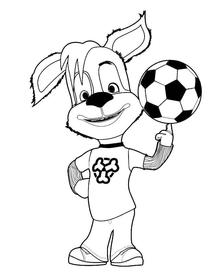 Название: Раскраска Пёс держит мяч на пальце. Категория: спорт. Теги: Спорт, футбол, мяч, игра, животные.