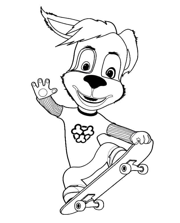 Coloring Dog rides a skateboard. Category sports. Tags:  Animals, sports, skateboard.