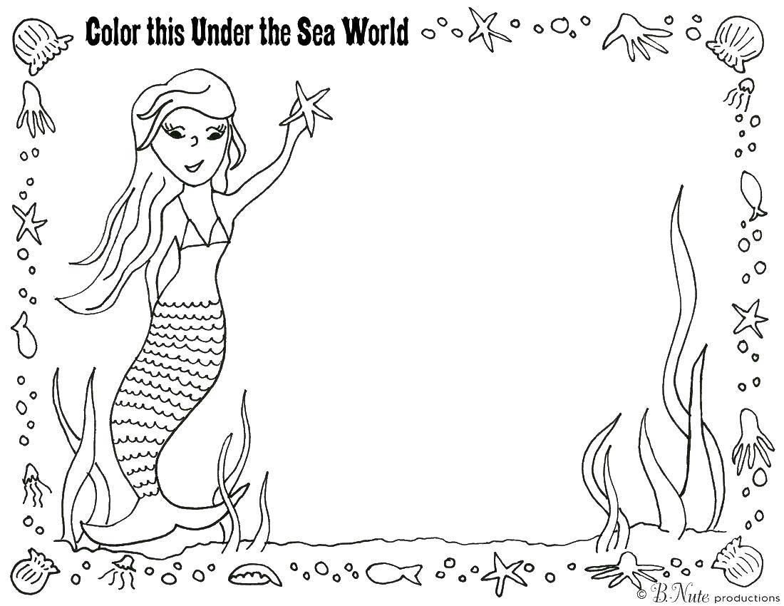 Coloring Color this underwater world. Category marine. Tags:  Underwater world.