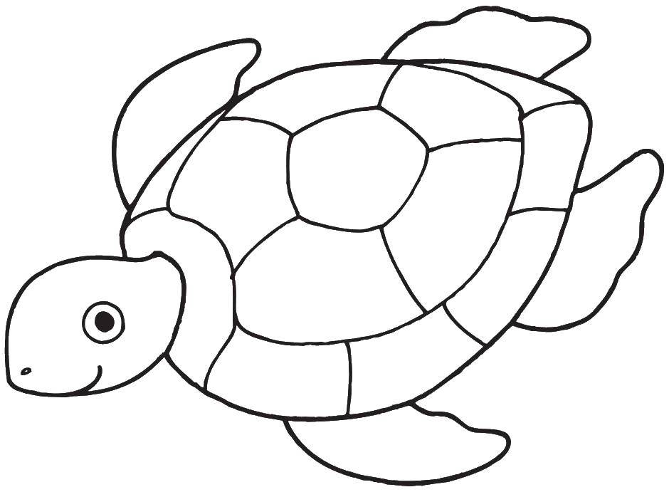 Название: Раскраска Счастливая морская черепаха. Категория: морское. Теги: Рептилия, черепаха.