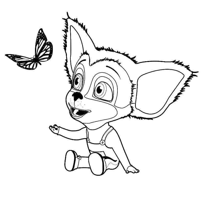 Название: Раскраска Зверёк играет с бабочкой. Категория: Животные. Теги: Животные, бабочка, игра.