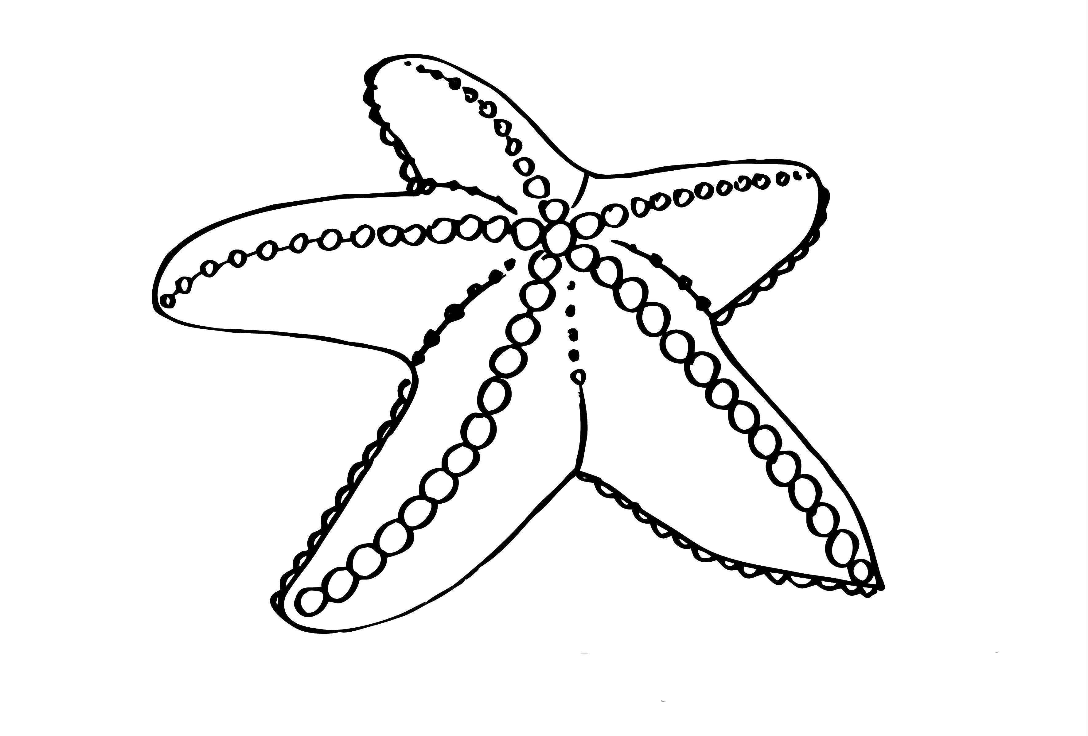 Название: Раскраска Больщая морская звезда. Категория: морское. Теги: Подводный мир.