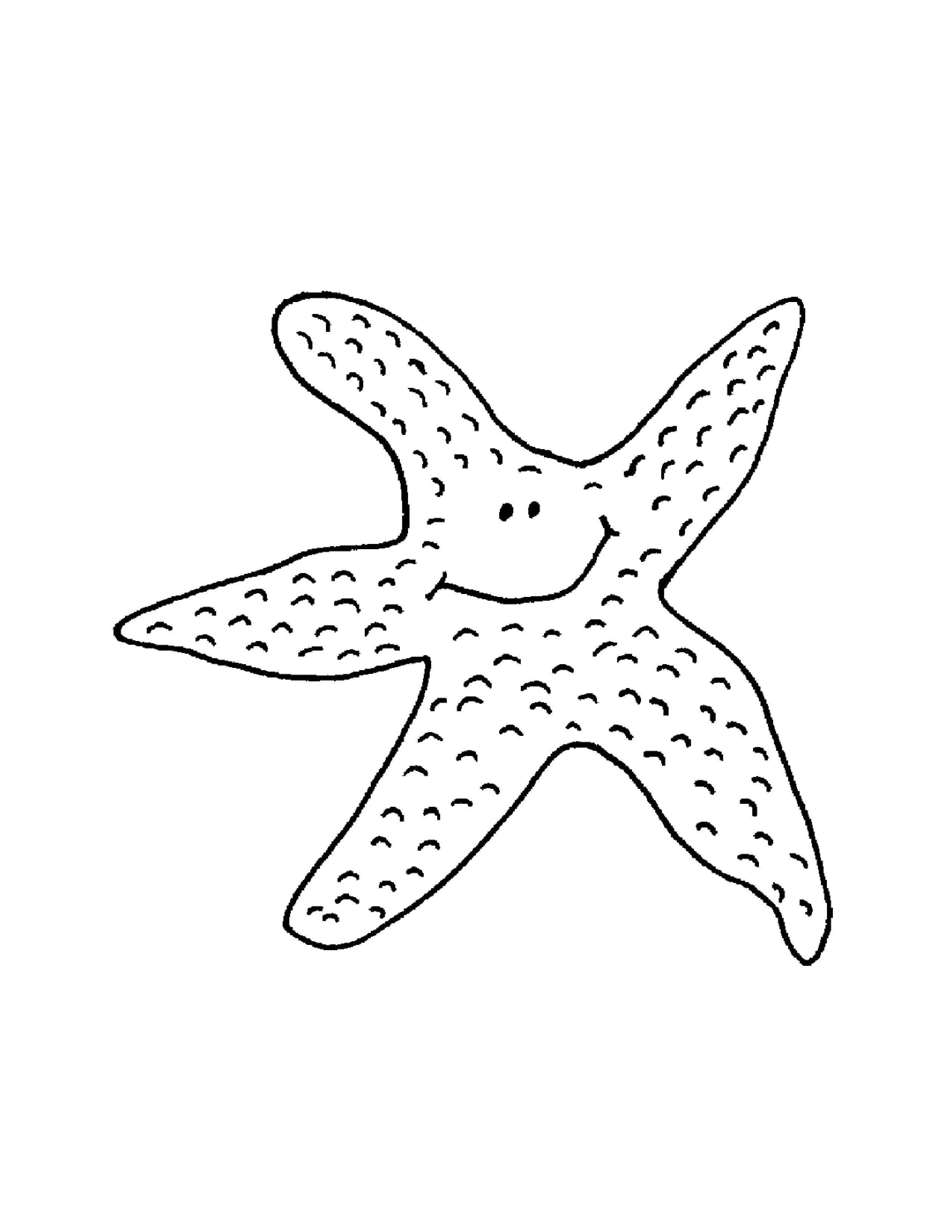 Название: Раскраска Морская звездочка счастлива. Категория: морское. Теги: Подводный мир.