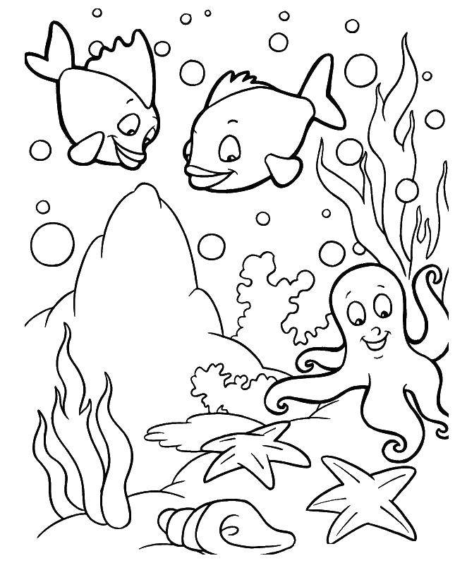 Coloring Octopussy and the fish. Category marine. Tags:  Underwater world.